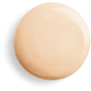 Sisley Sisleÿa Le Teint machiaj de îngrijire împotriva îmbătrânirii pielii - imagine 3